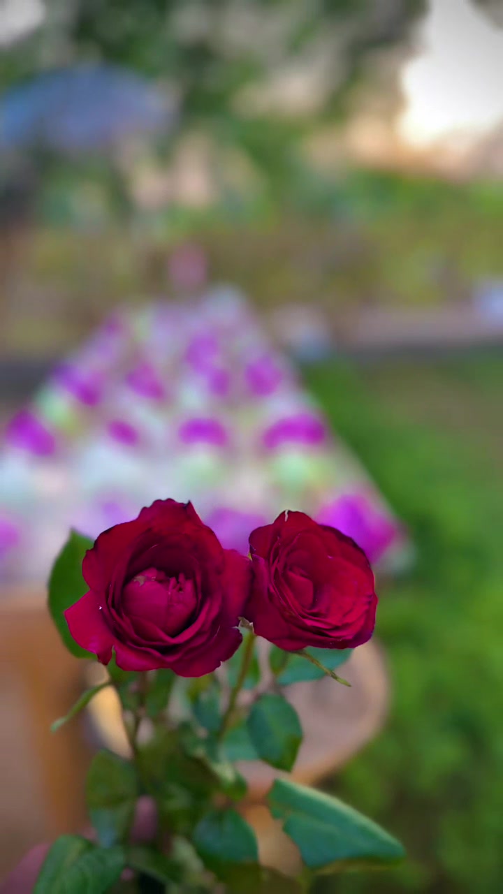 @Pahalathalawe Sumanasiri Himi