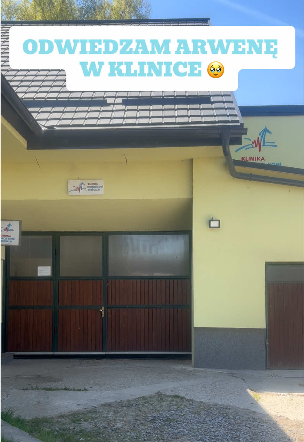 @Harmonia Jeździectwa