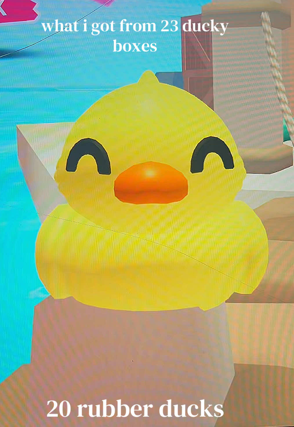 @⟡ ݁₊ . 🐋 𝐄𝐋𝐋𝐀 🦢𐙚🪽