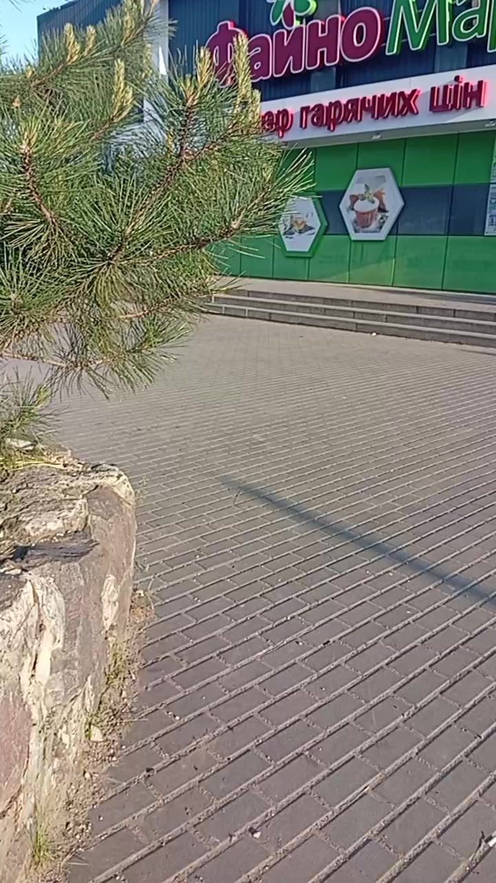 @Светлана