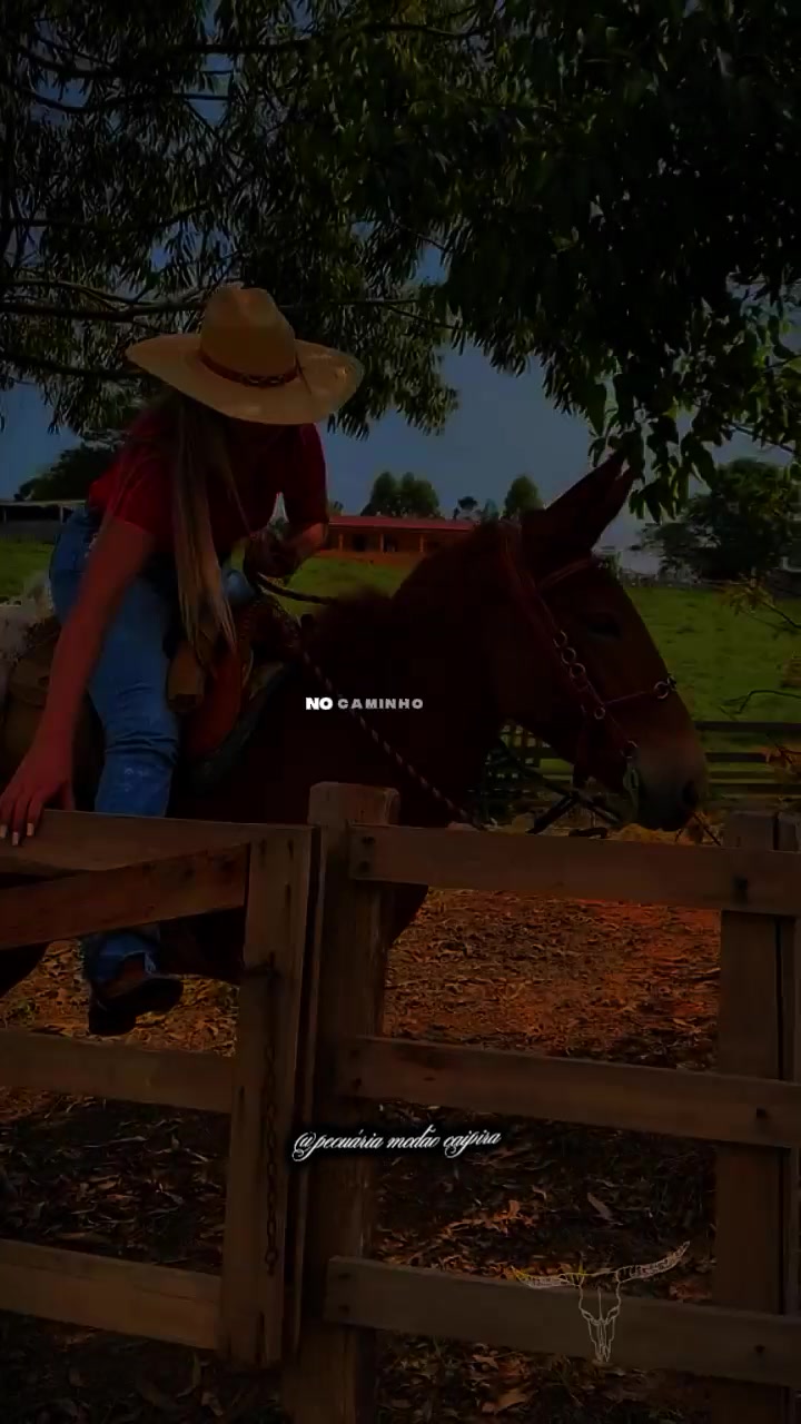 @pecu&aacute;ria mod&atilde;o caipira