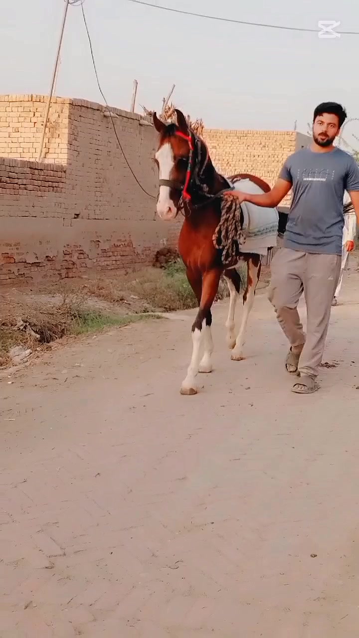@Zeeshu 👑