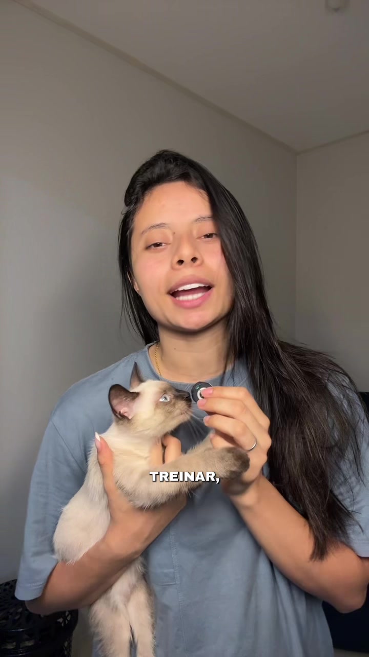 @Franzonaa