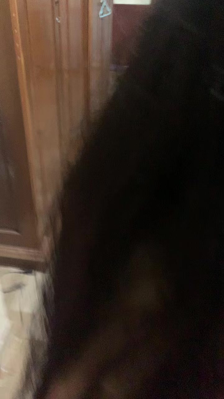 @vlog.minhtuan