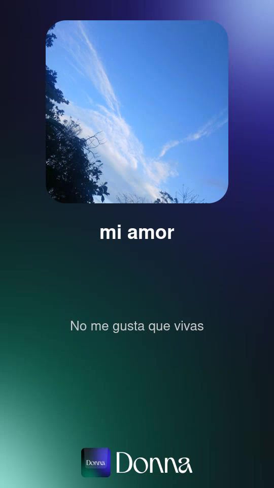 @gato de combate