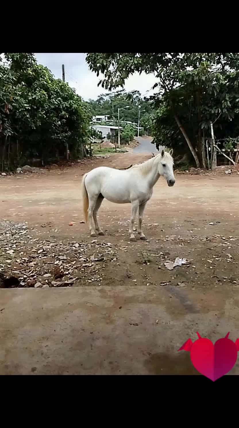 @Vanessa már🥰❤