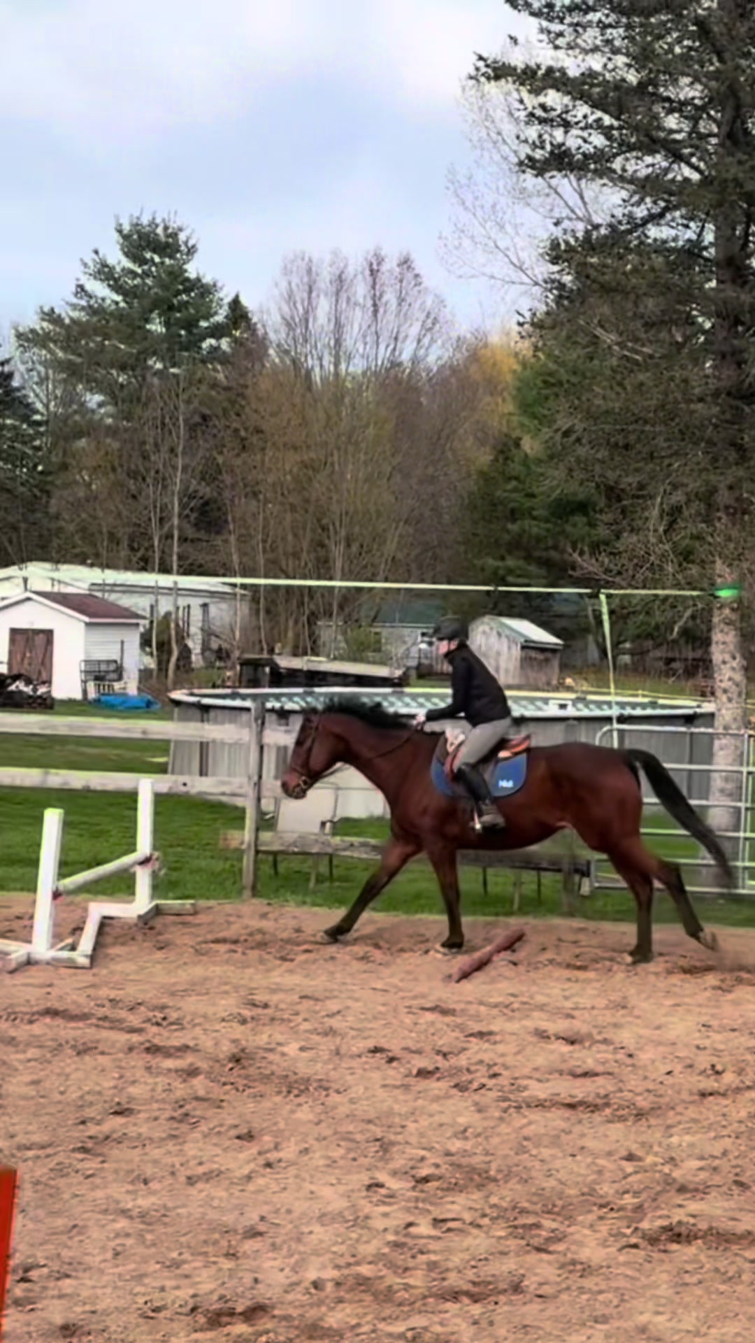 @🐎Aby 😌👌✨️