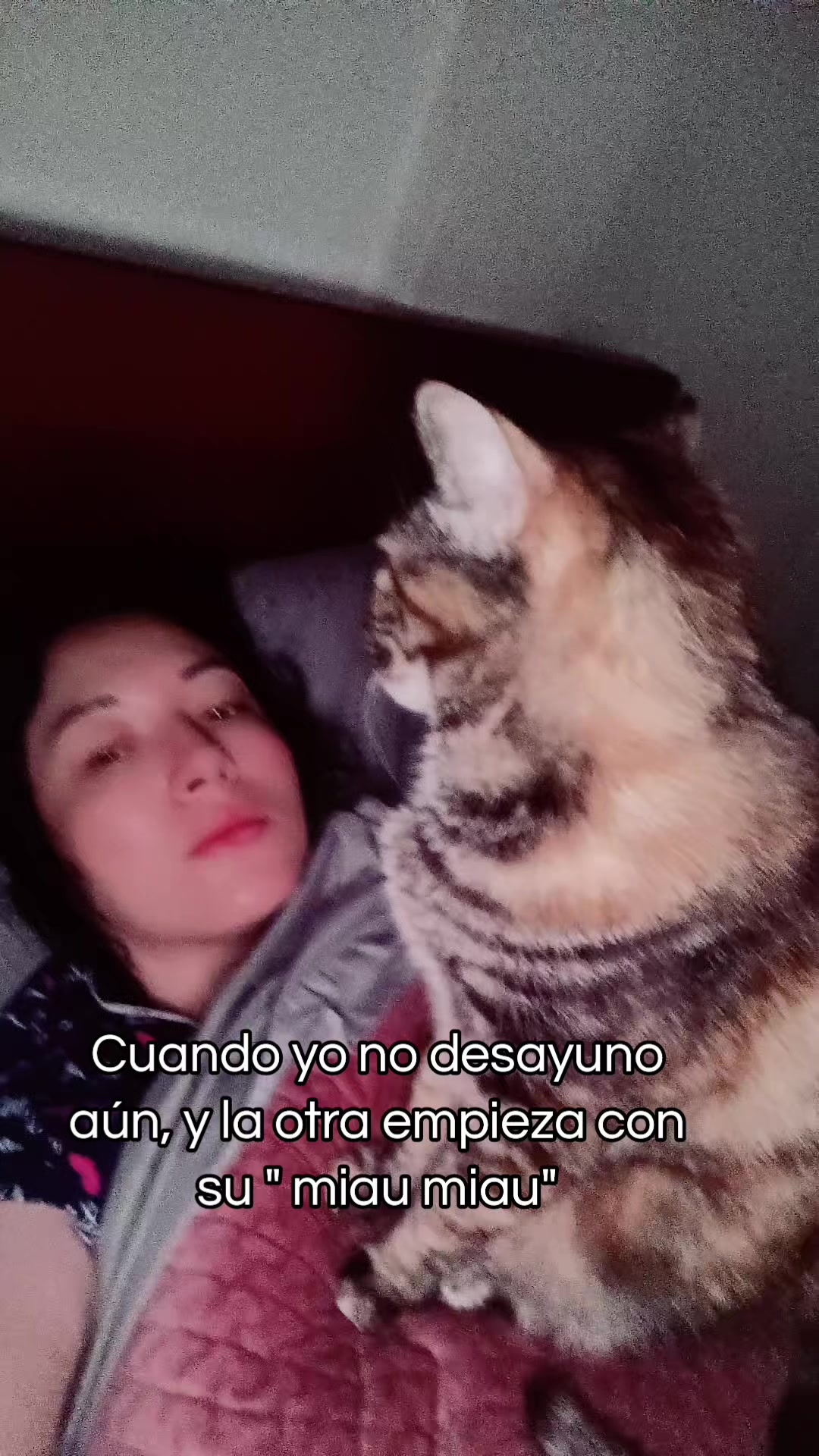 @Paulina Eguez Torres