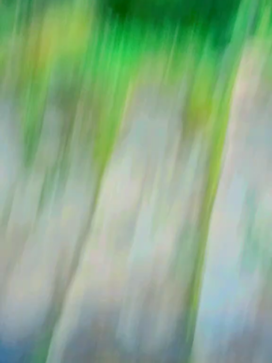 @꧁དℭ℟&Aring;ℤ&yen;༒₭&Iuml;ḼḼ℥℟ཌ꧂◤