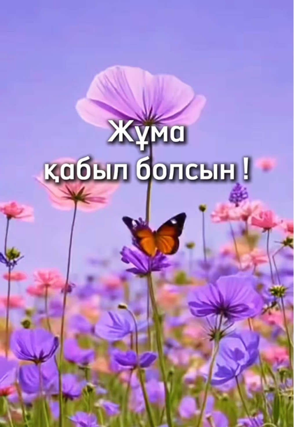@aray_dinasil