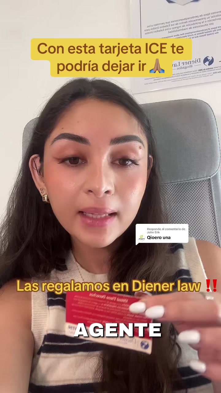 @dienerlawabogados