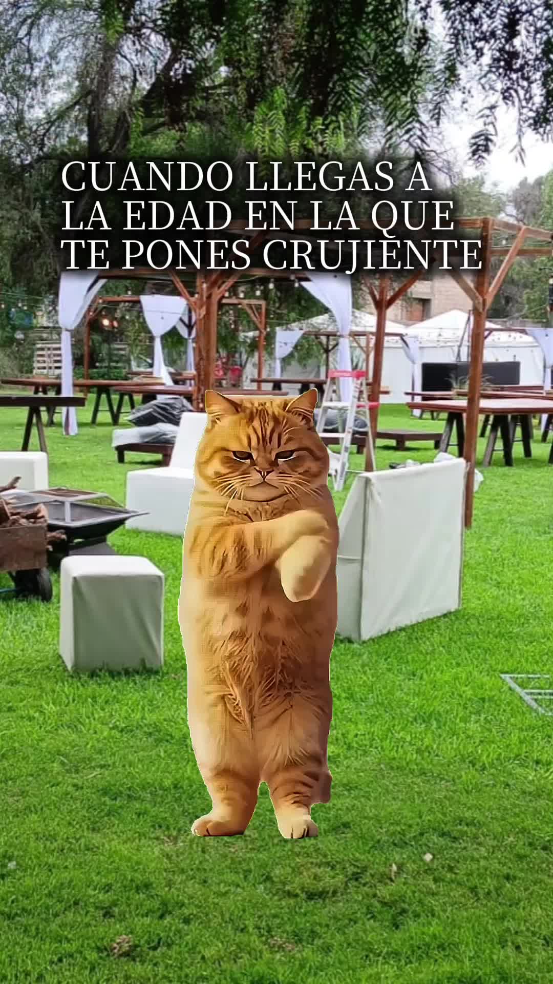 @DIOS CON MIGO