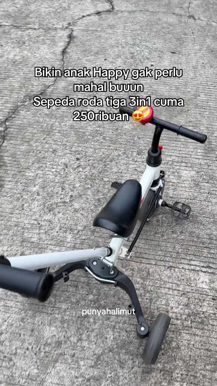 @Halimut