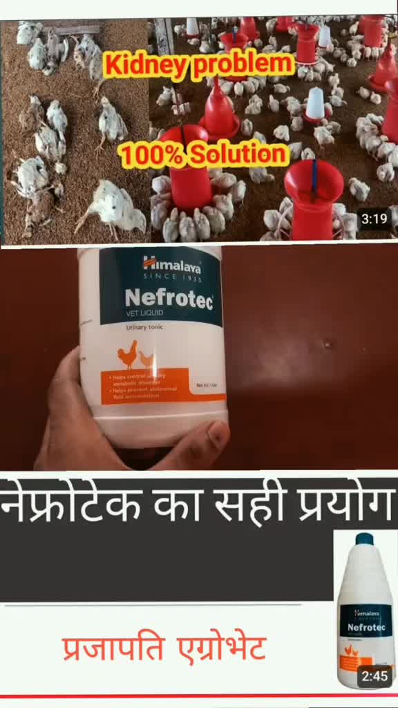 @Prajapati Agro Vet