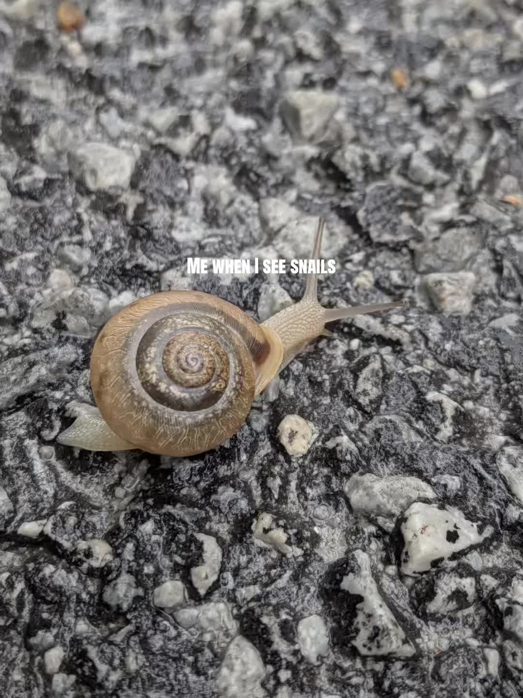 @✮𝙹𝚊𝚌𝚔♂️