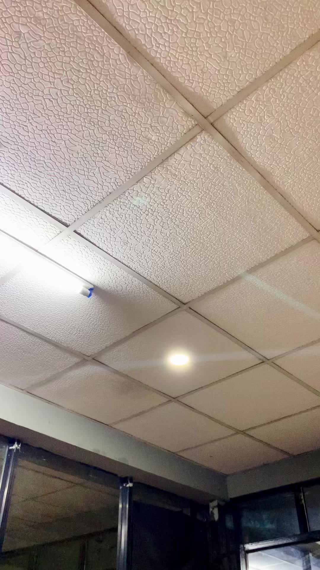 @steeliezbreakingskool