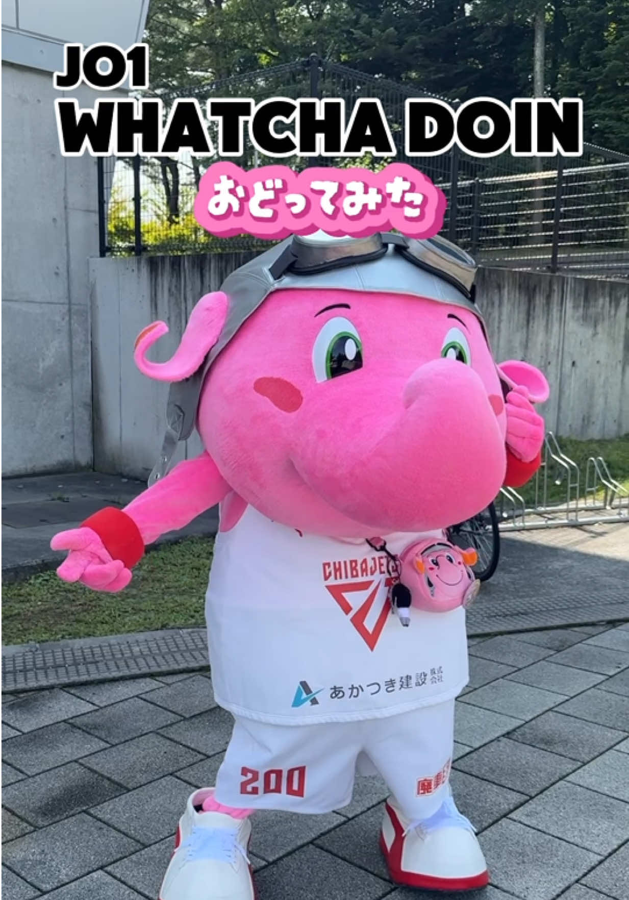 @千葉ジェッツ