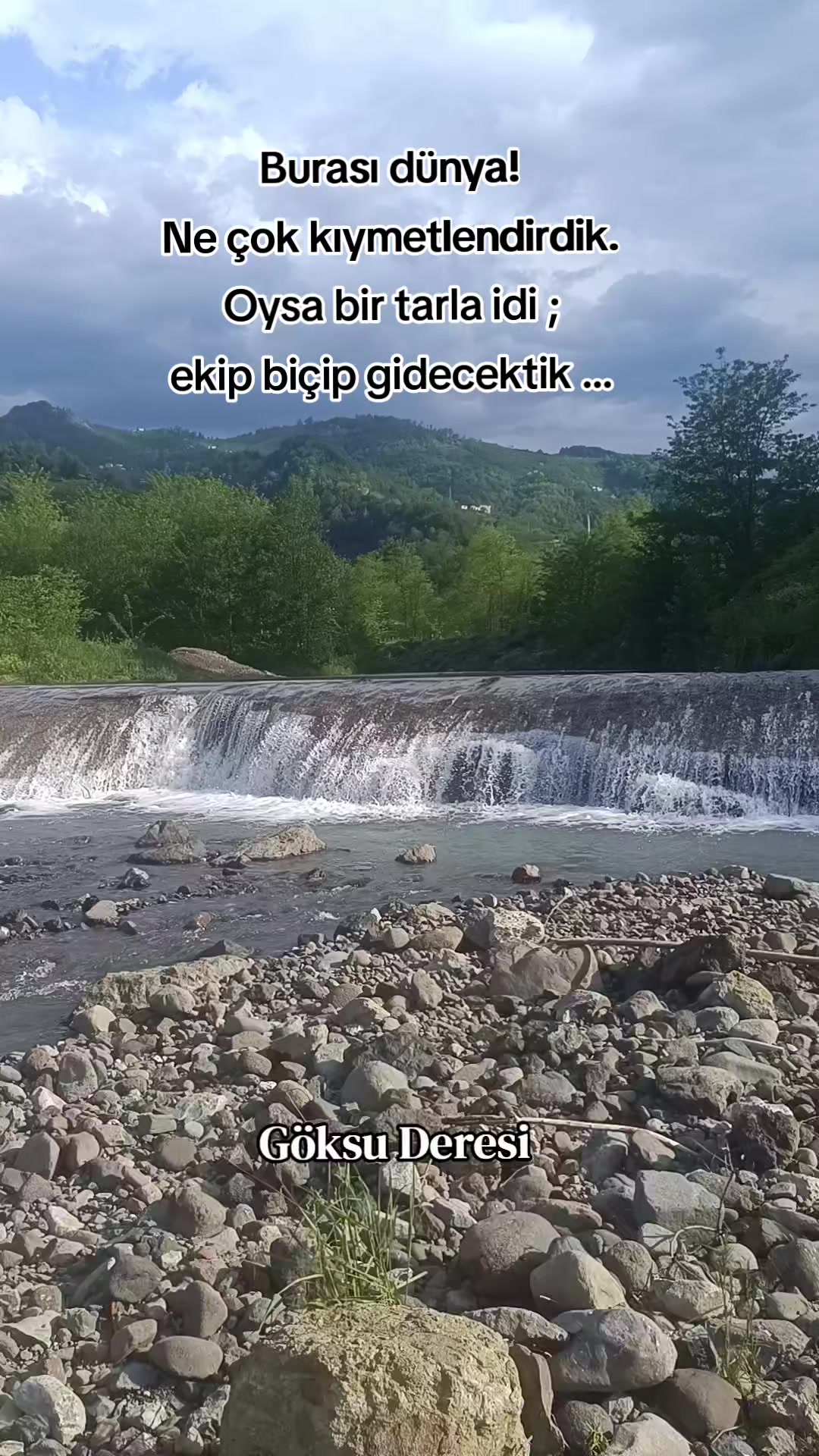 @sibel aydoğdu