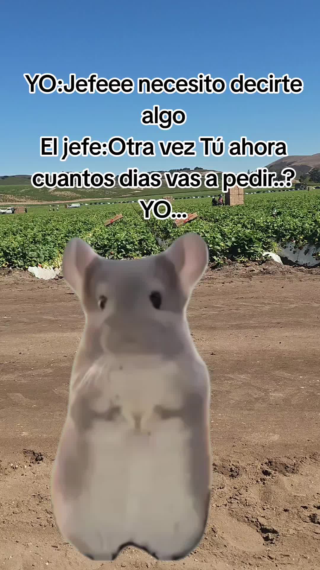 @🇲🇽🐦⬛🪺VASQUEZ🚚🌪💎