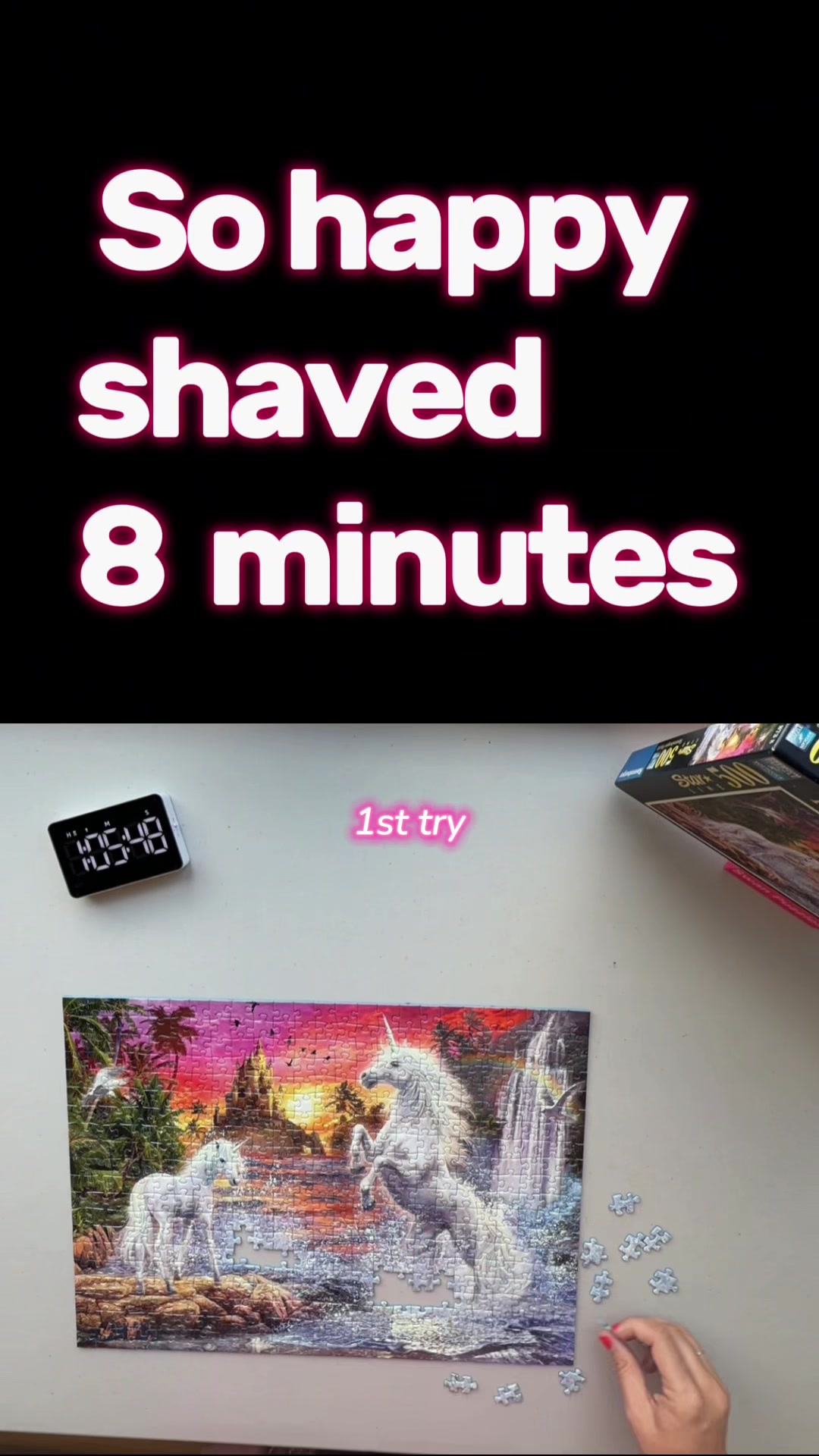@Swan Puzzles