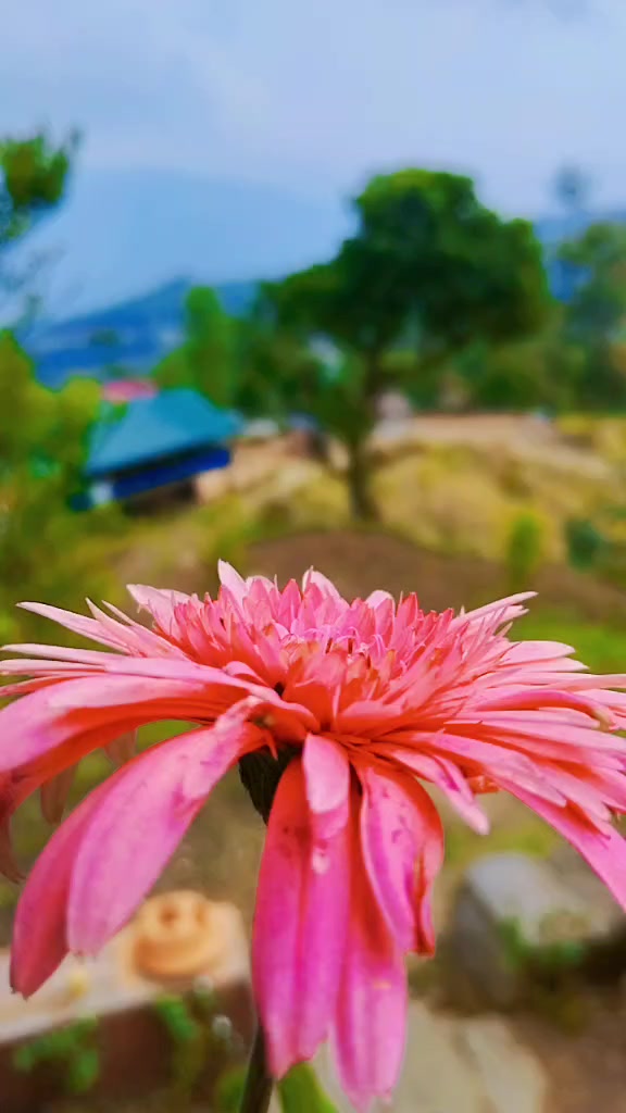 @kalpana tamang