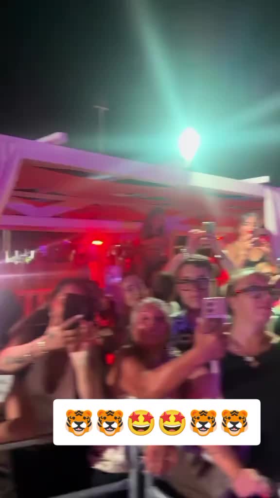 @🐯 il Gladiatore il Tigrotto🐯
