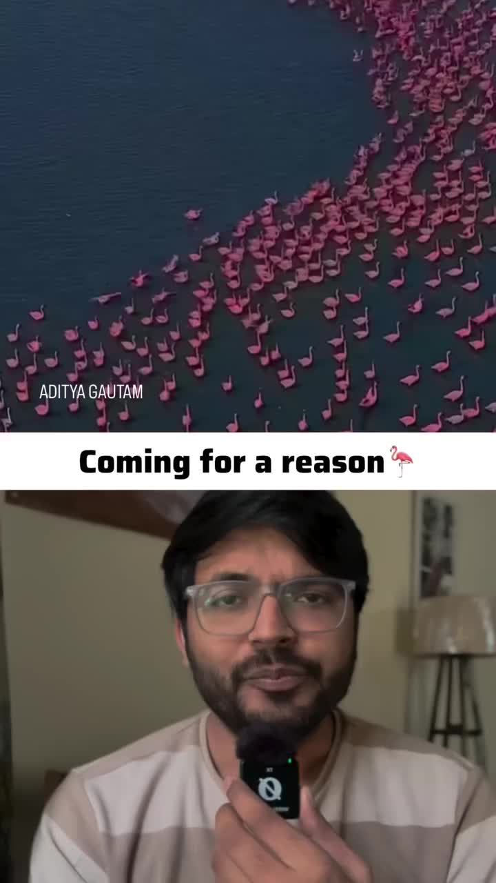 @QuickFactTV