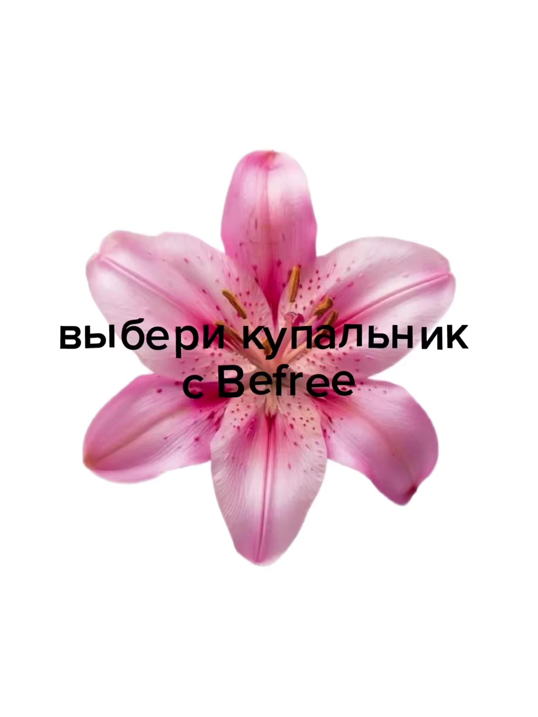 @Befree