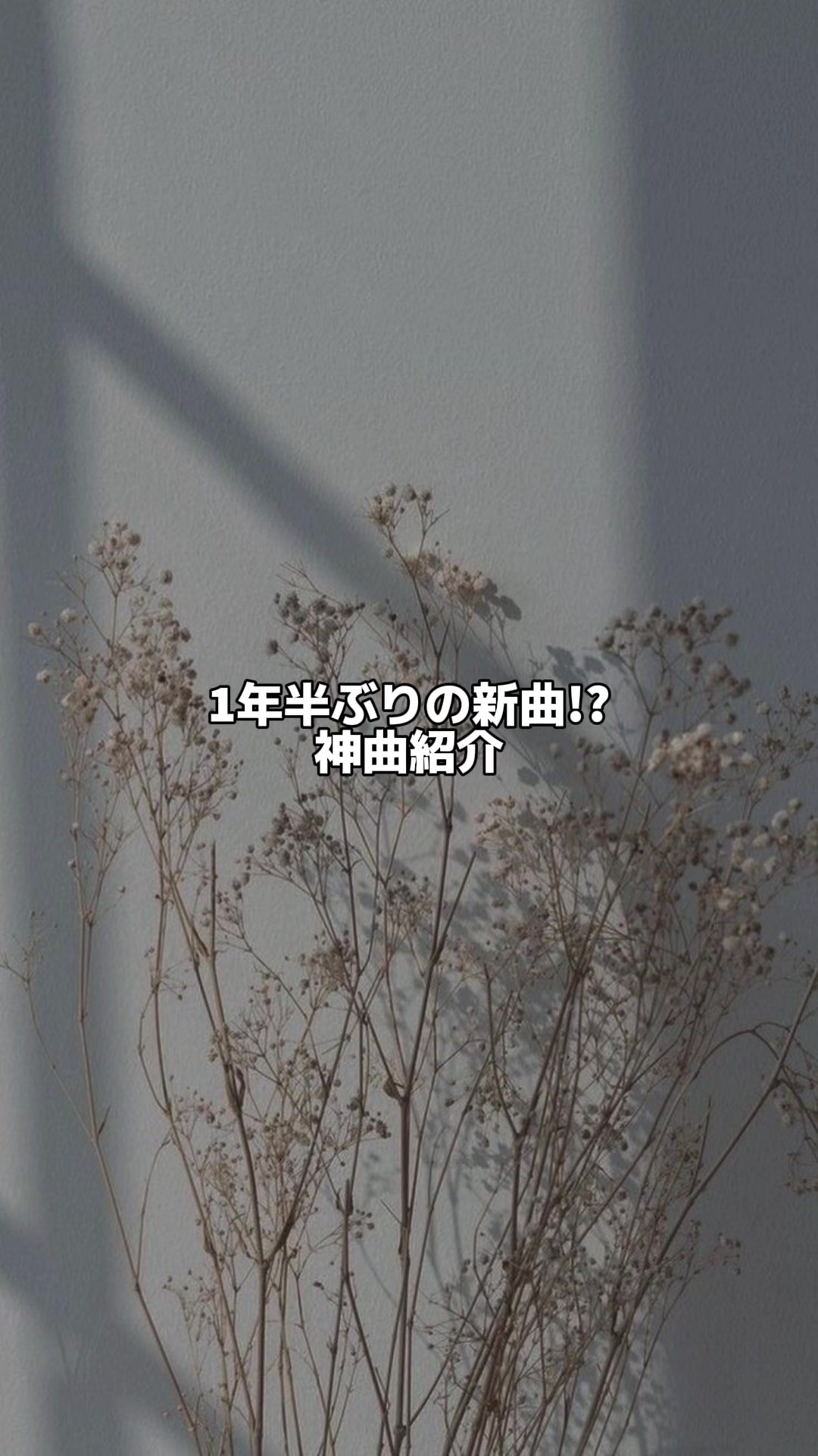 @たいが@音楽とファッション