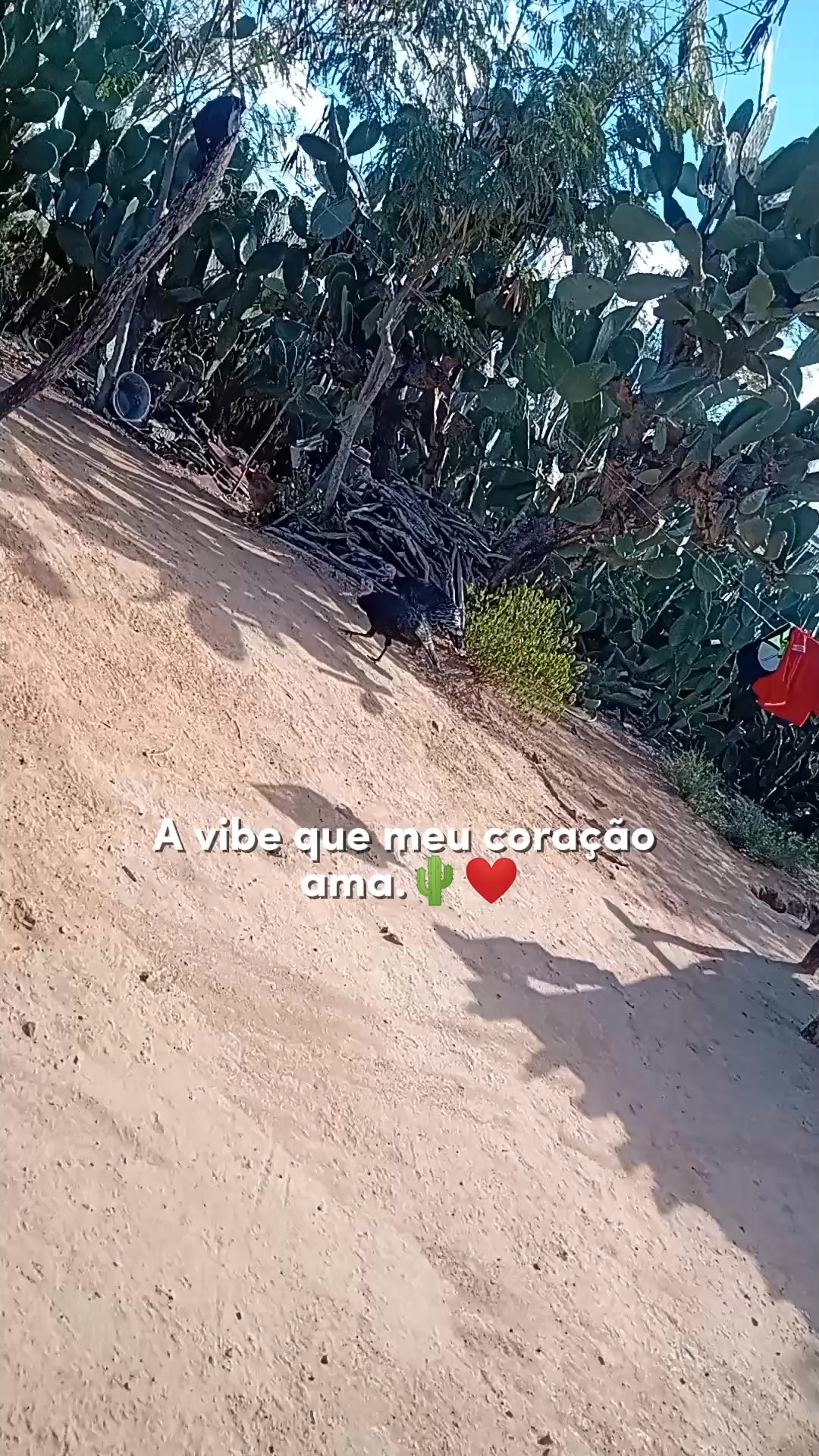 @japa🧩🧩