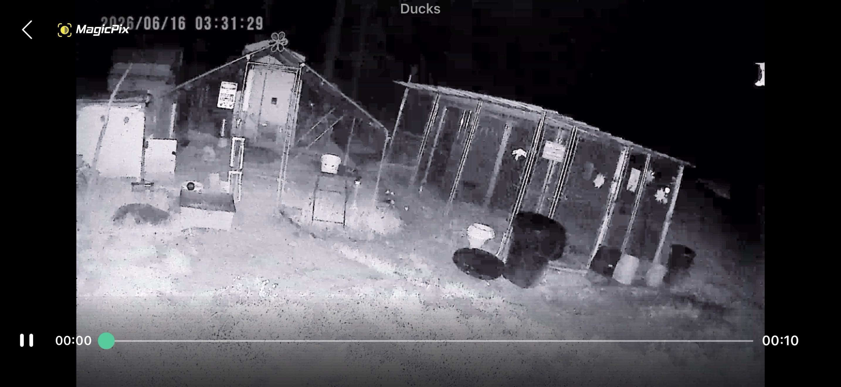 @✝️🌻🦆Mela’s Homestead🦆🌻🇵🇭