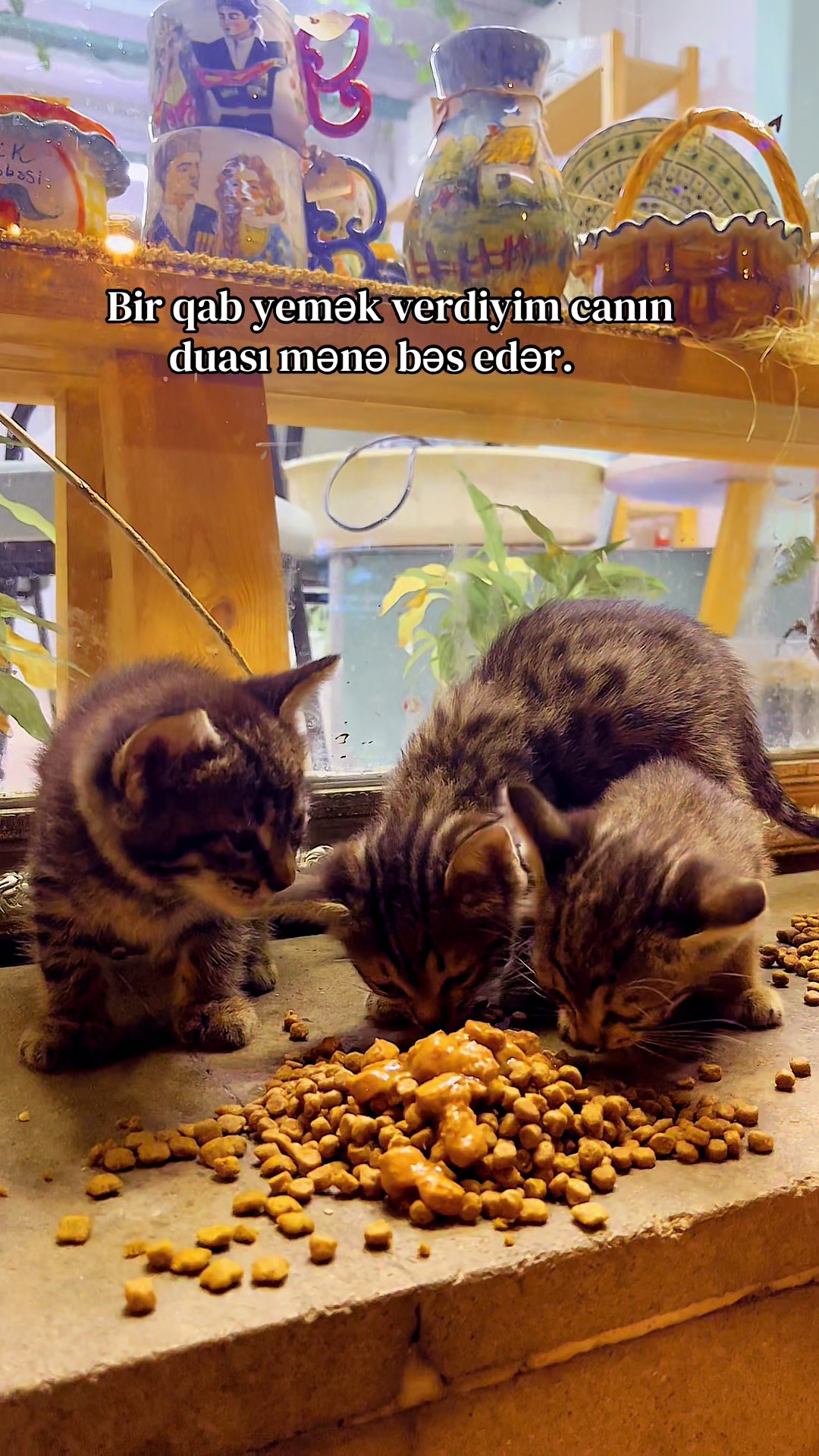 @𝓑𝓸𝓷𝓷𝓲.