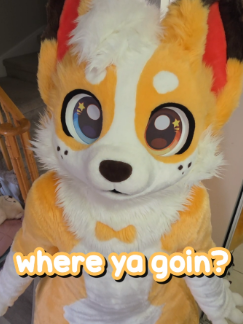 @Corgi