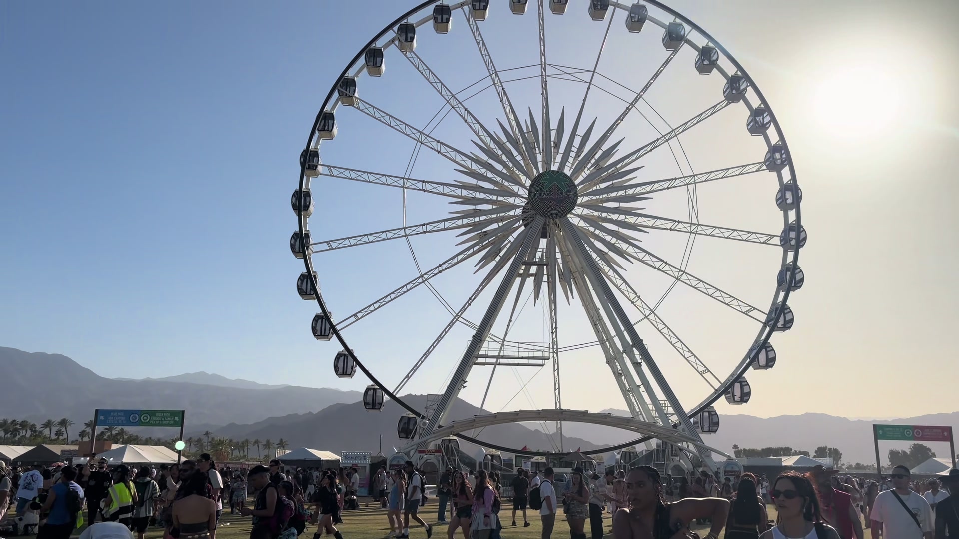 @luisaafernie