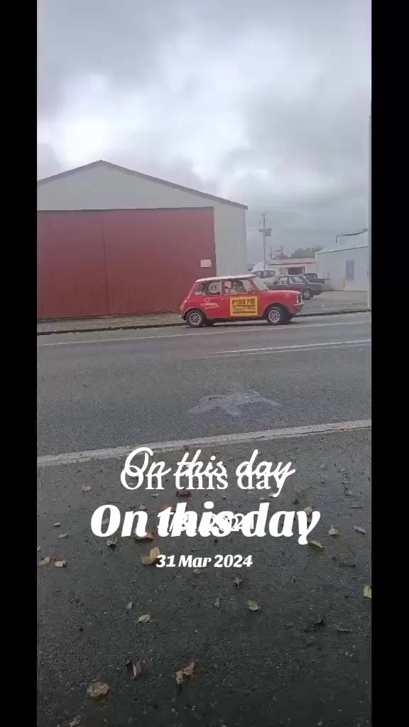 @shellyteddybear1