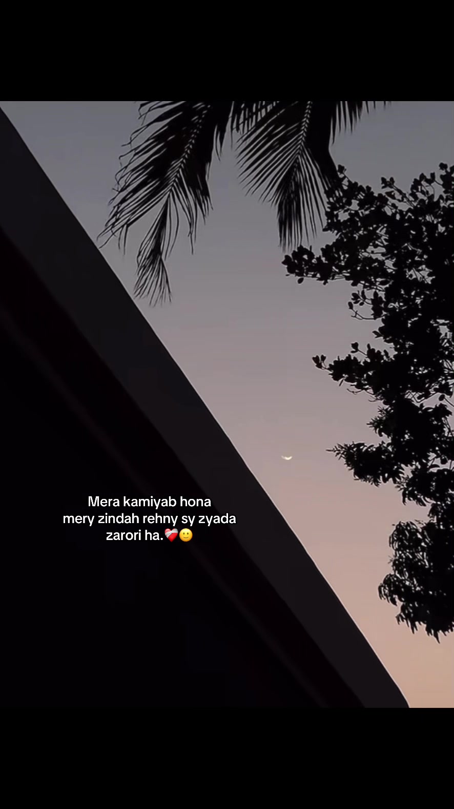 @⚜️Sheikh_Alvi⚜️