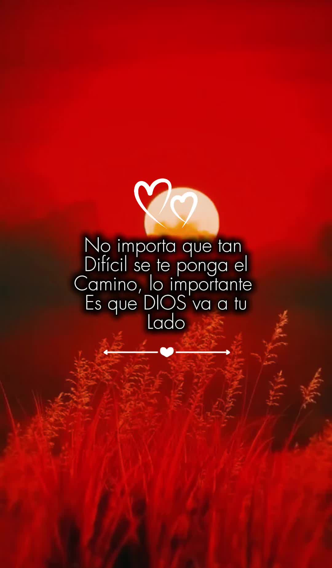 @WI RO