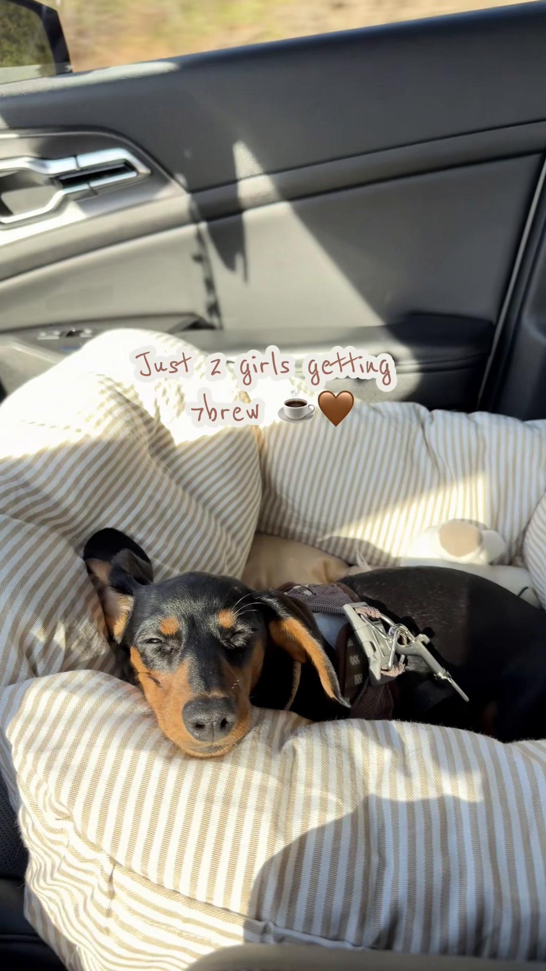 @𝒉𝒆𝒂𝒕𝒉𝒆𝒓 🎀