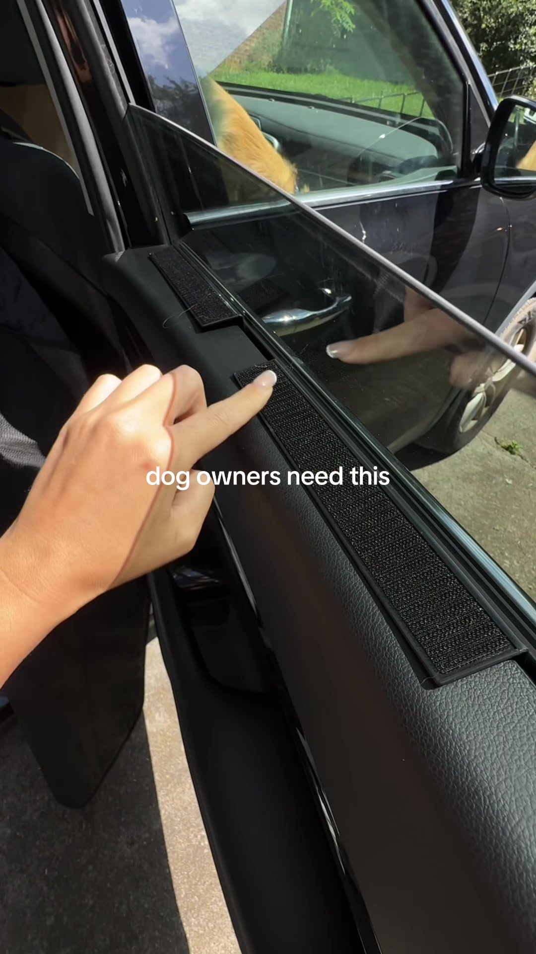 @Josi B🦮
