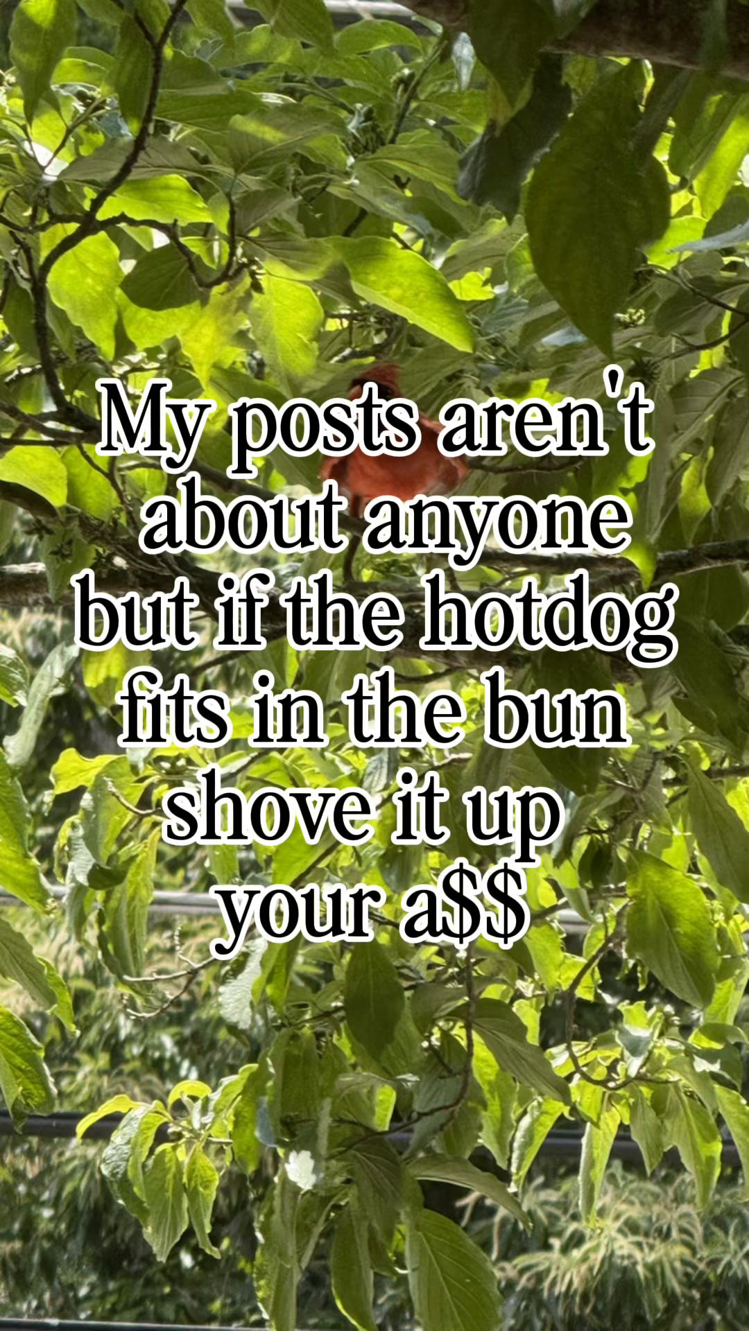 @Sarah and Family