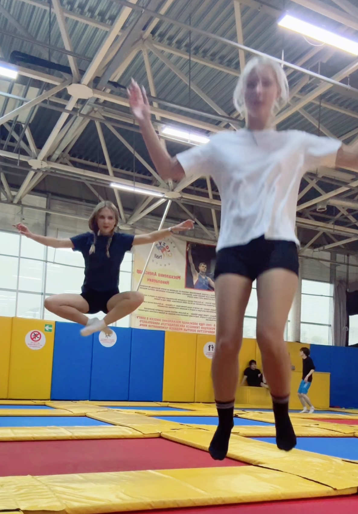 @алиса