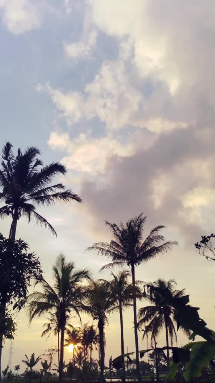 @♪.