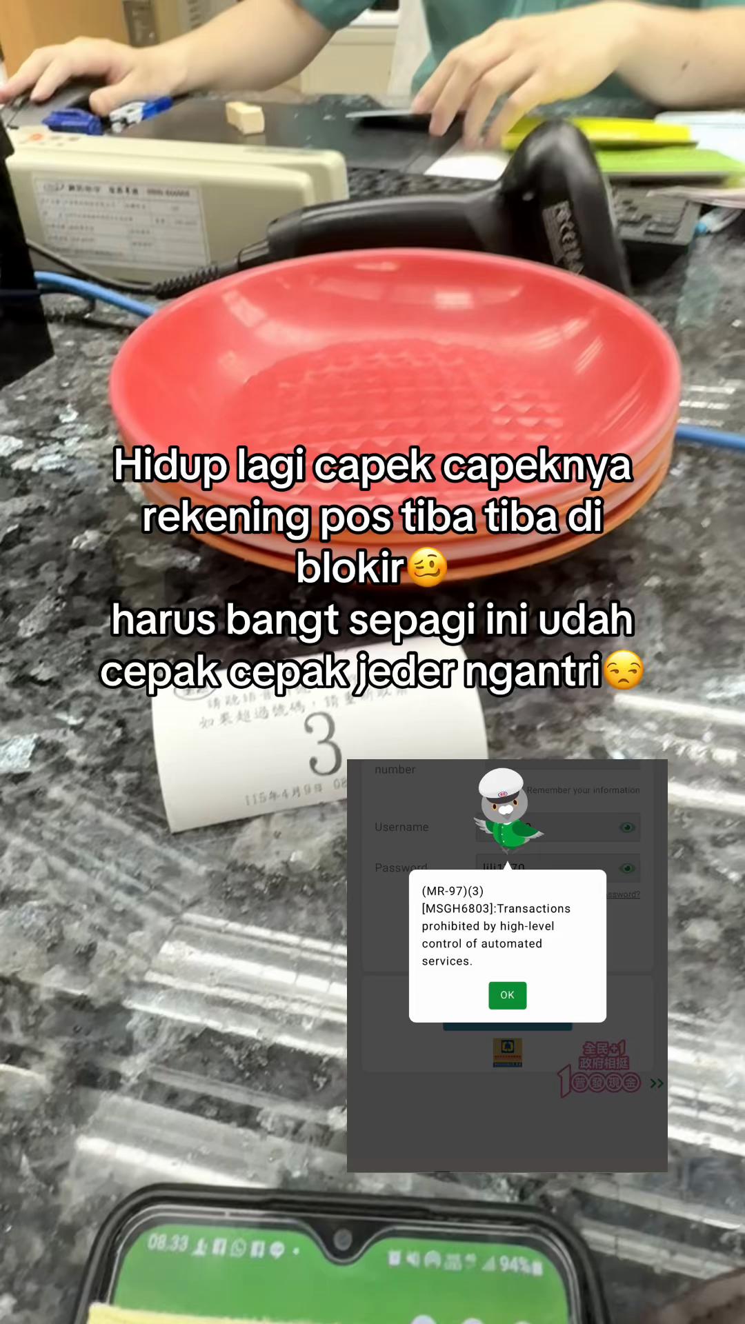 @littlebite9