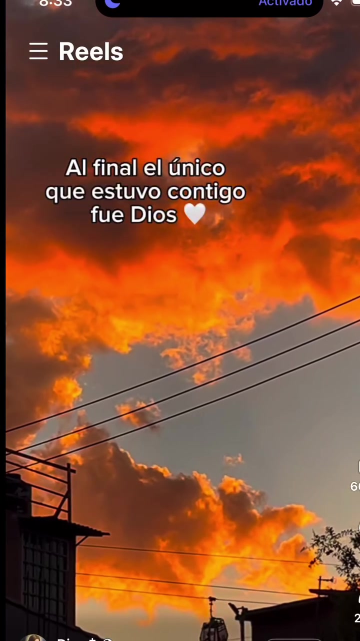 @Jesús mi proveedor