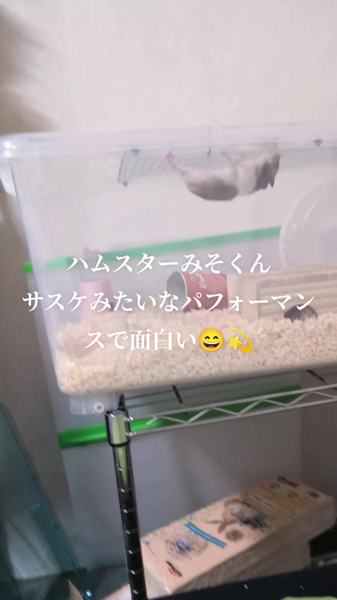 @K・B・M