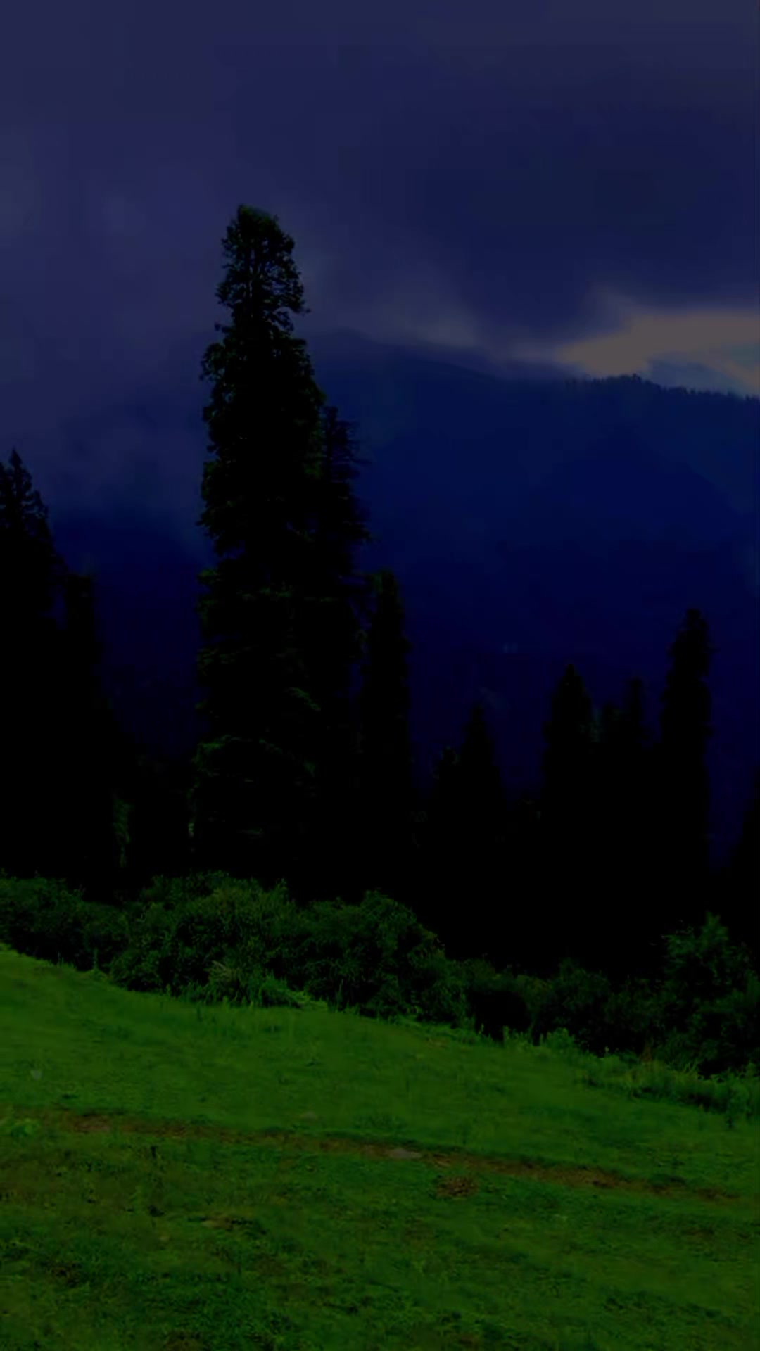 @SAQIB Kasana