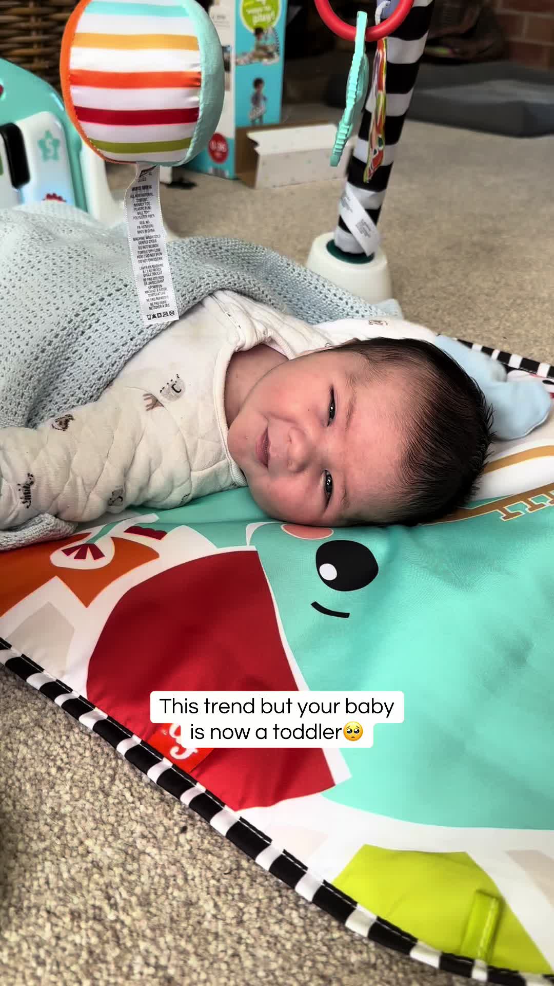 @Ellie | Otis’ mommy🩵