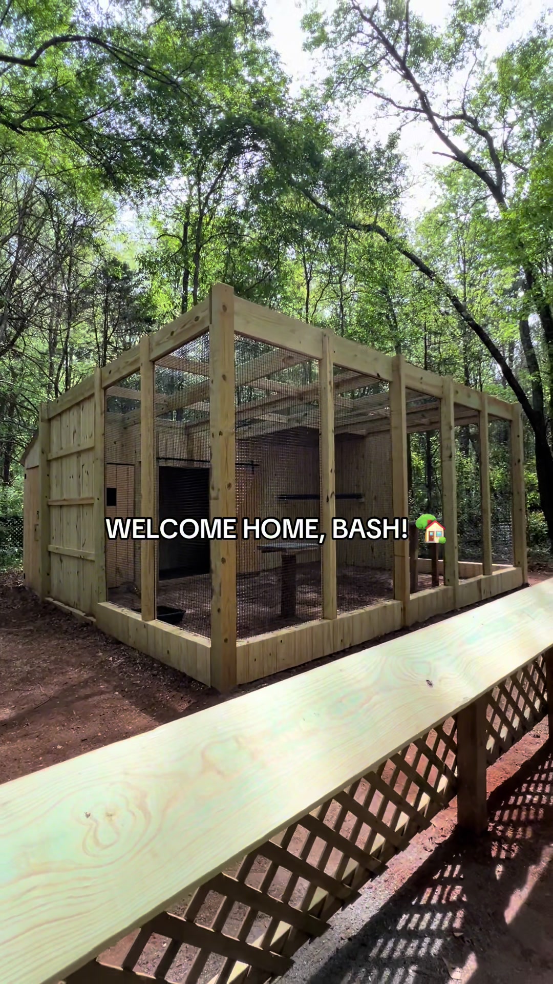 @Carolina Raptor Center