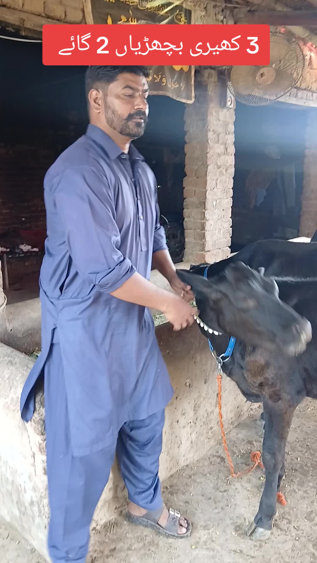 @Farming and Business Ideas