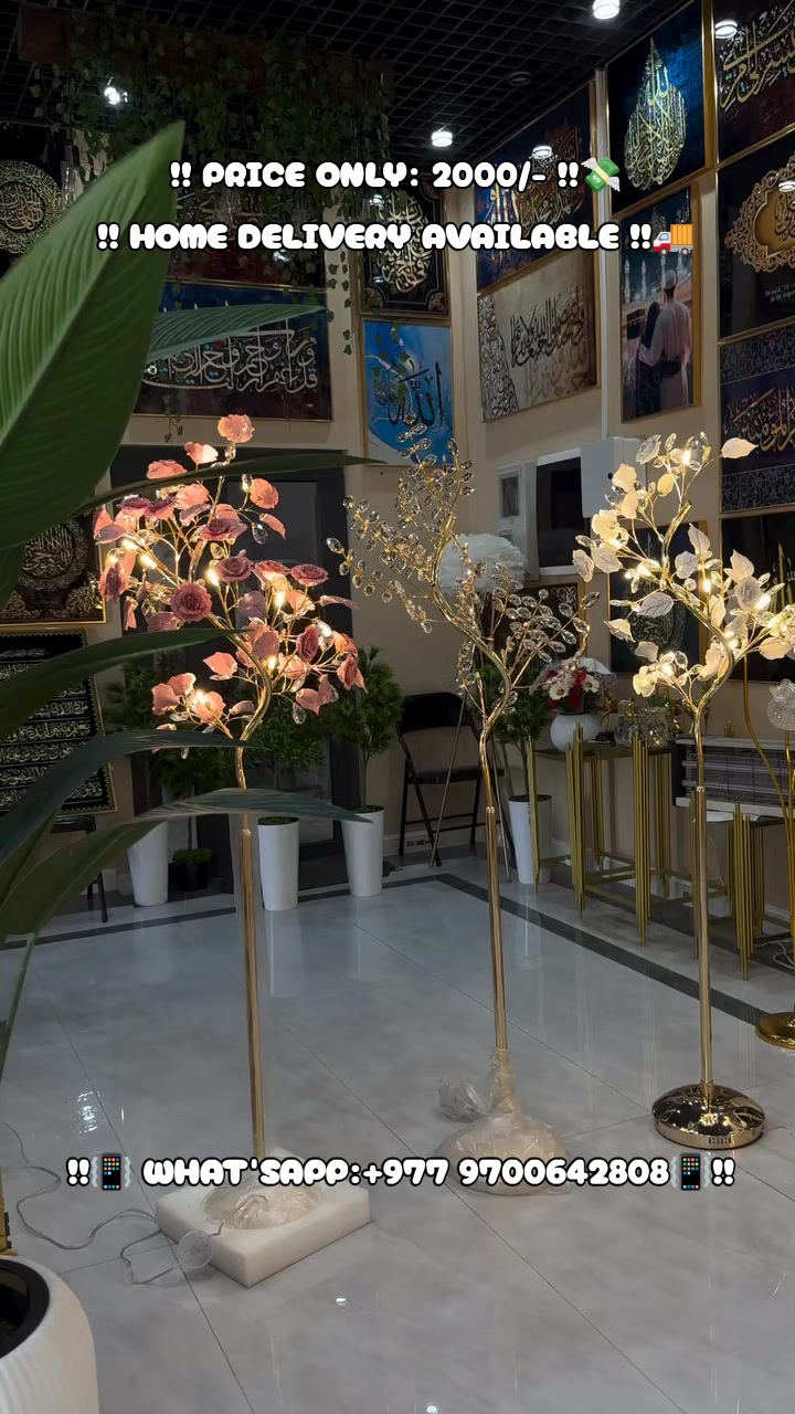 @FURNITURE SHOWROOM ✨
